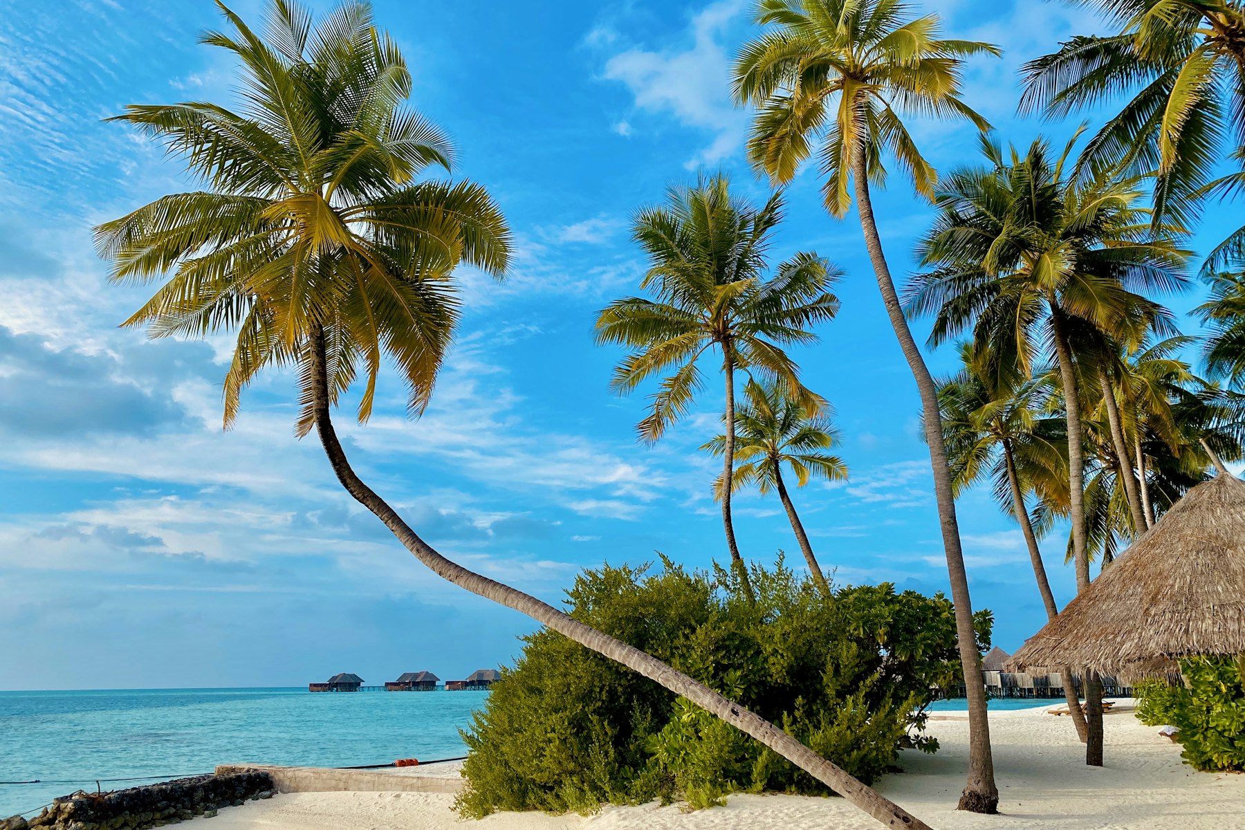 Plage de Zanzibar